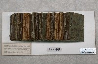 藏品(傾斜地層模型)的圖片